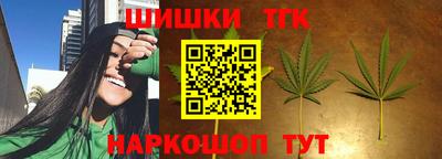индика Гагарин