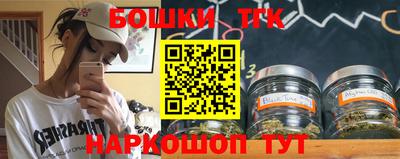 индика Гагарин