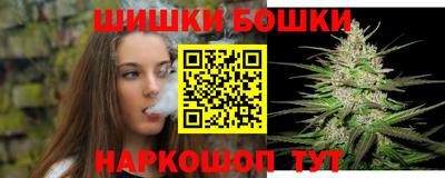 индика Гагарин
