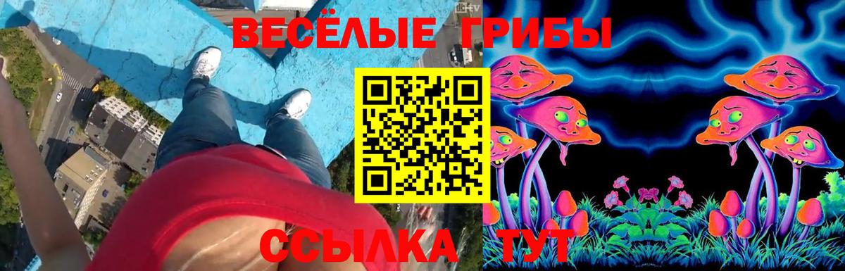 Новый Уренгой  Псилоцибиновые грибы MAGIC MUSHROOMS  Вход с VPN 